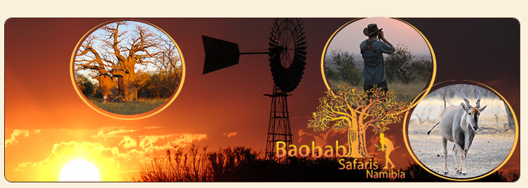 Baobab Safaris Namibia