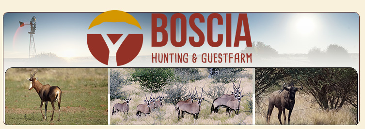 Boscia Hunting