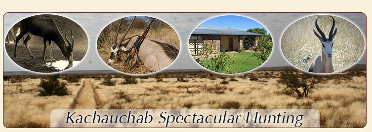 Kachauchab Spectacular Hunting