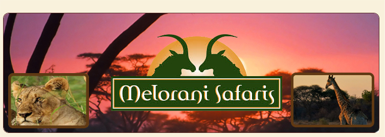 Melorani safaris | trophy hunting in South Africa